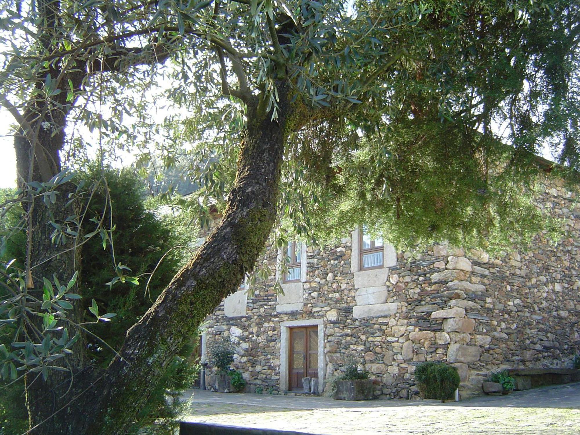 Hostal Casa Do Pinto Arouca Exterior foto